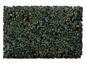 CONIFER FLOOR BLEND - 32 oz.